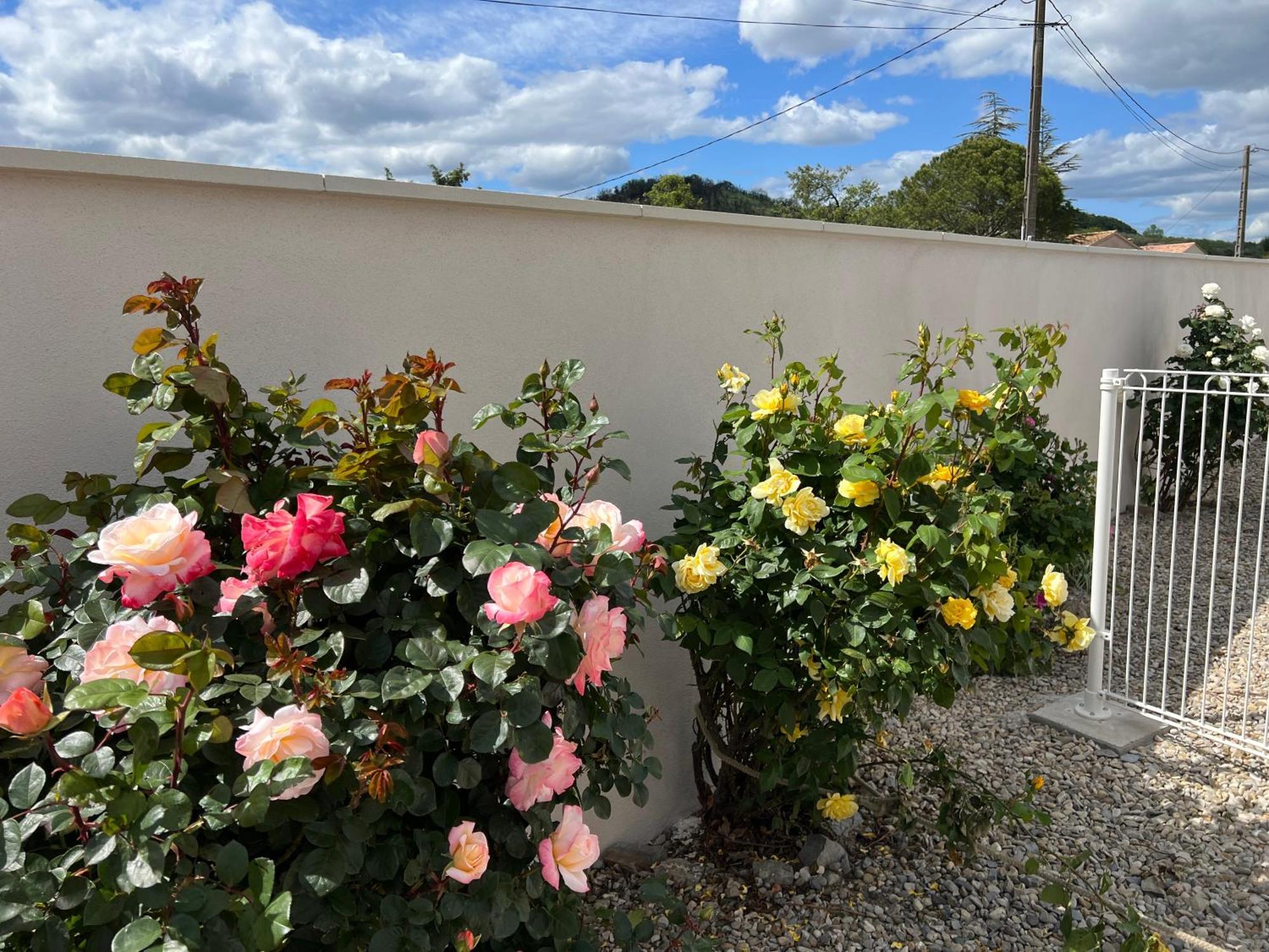 Le Gite Du Vigneron Lagorce  Exterior foto